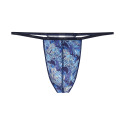 String Temptation Plume Barrett Bleu HOM
