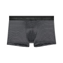 HOM Monsieur Boxer Briefs - Black - Silver