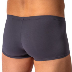 Manstore M2623 Micro Pants Trunks - Ashes