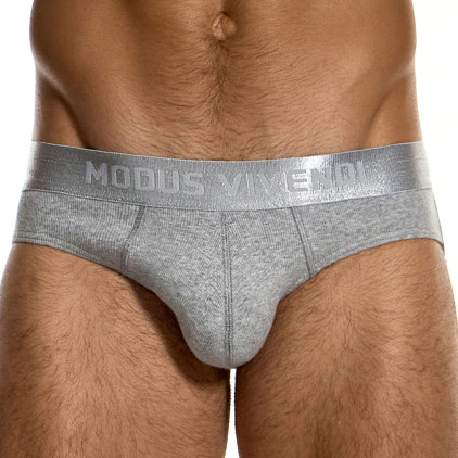 Modus Vivendi Ribbed Cotton Classic Briefs - Heather Grey