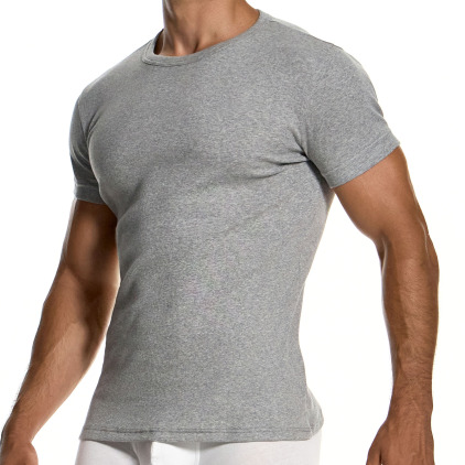 Modus Vivendi Ribbed Cotton T-Shirt - Heather Grey