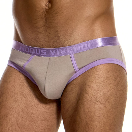 Modus Vivendi Lavender Classic Briefs - Beige