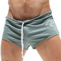 Rufskin Hudson Shorts - Sage