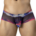 Shorty Latin Oasis Pourpre Clever