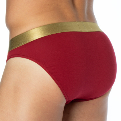 Emporio Armani Shiny Logoband Briefs - Rhubarb