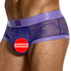 Modus Vivendi Lingerie Lace Trunks - Purple