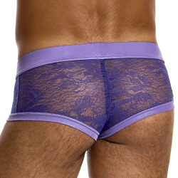 Modus Vivendi Lingerie Lace Trunks - Purple