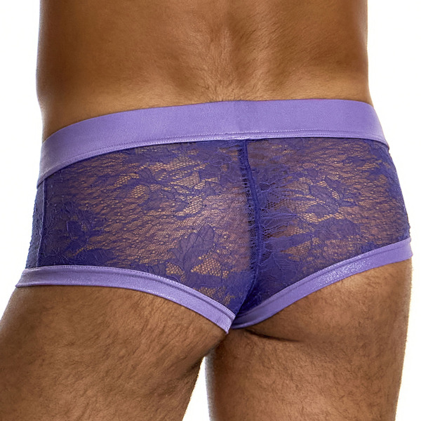 Modus Vivendi Lingerie Lace Trunks - Purple