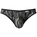 String Wave Dentelle Noir CandyMan