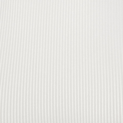 Débardeur B&W Rib Blanc Addicted