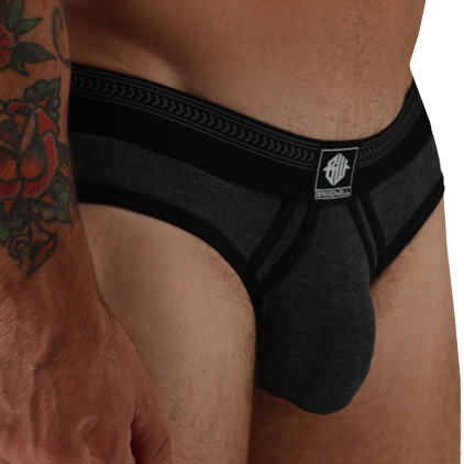 Breedwell Bare Essentials Briefs - Charcoal