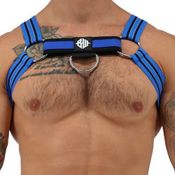 Breedwell Sweat & Sin Bulldog Harness - Blue - Black