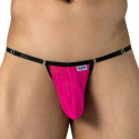 Rose Vif