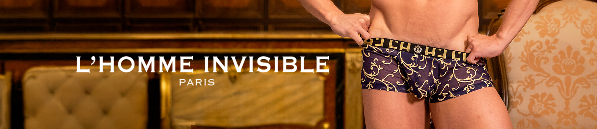 L'Homme invisible